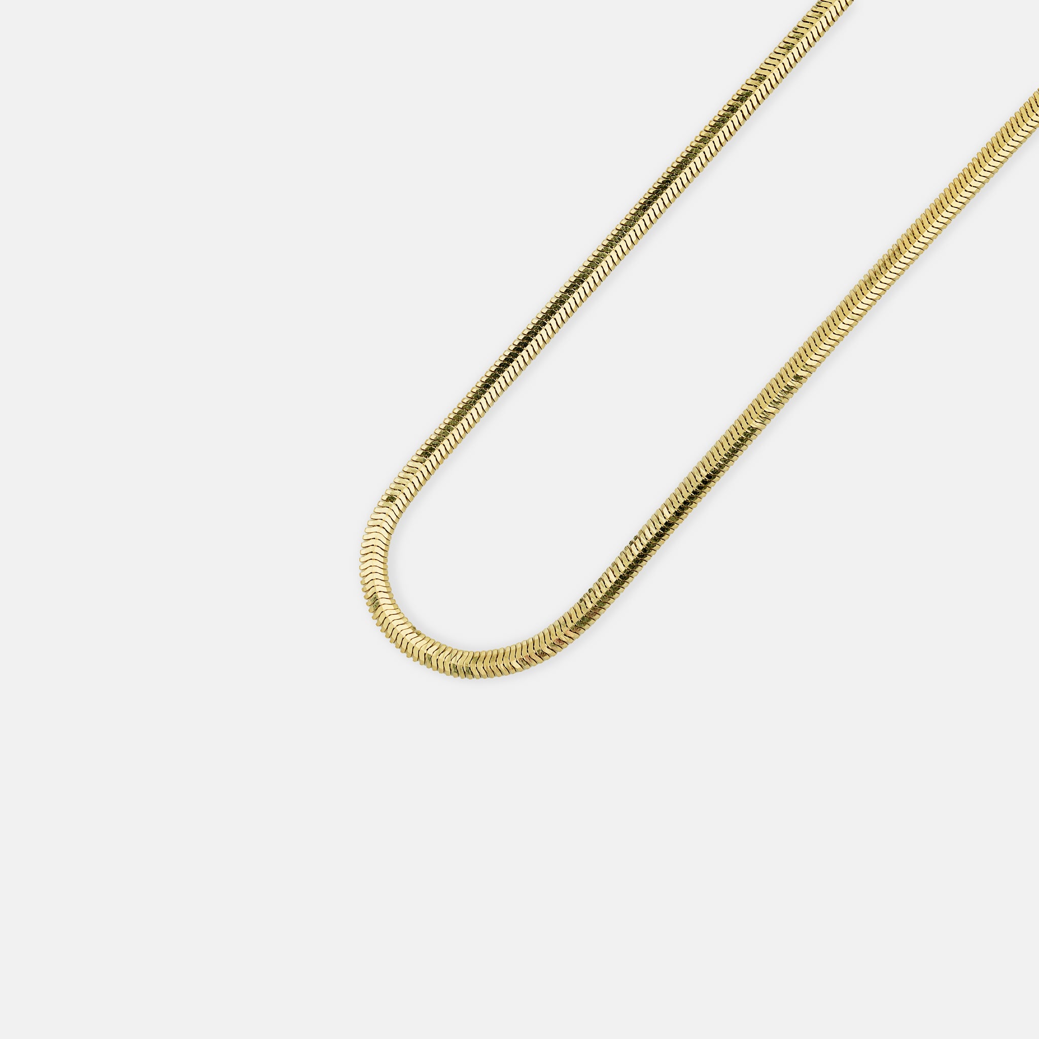 Snake Chain Necklace