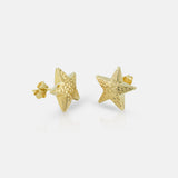 Star Diacut Earring