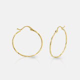 Spiral Loop Earrings